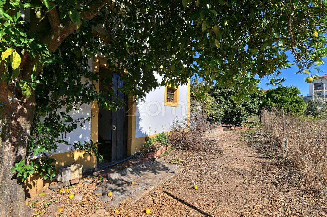 Quinta T5 para Venda em São Miguel do Rio Torto e Rossio Ao Sul do Tejo Foto 1