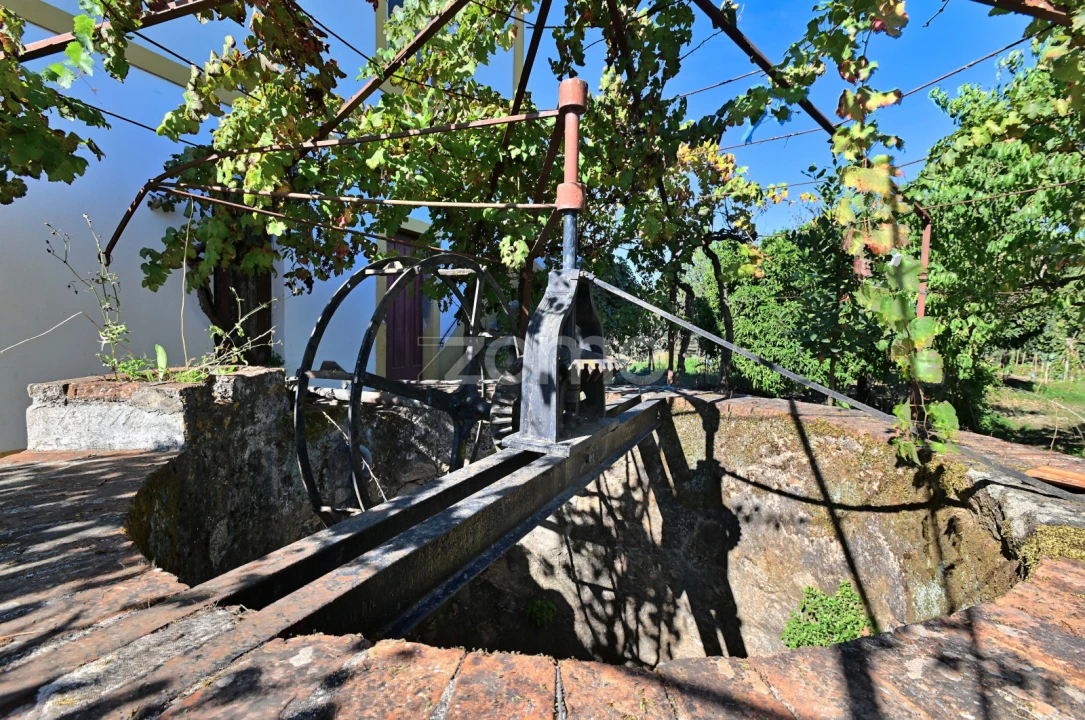 Quinta T5 para Venda em São Miguel do Rio Torto e Rossio Ao Sul do Tejo Foto 30