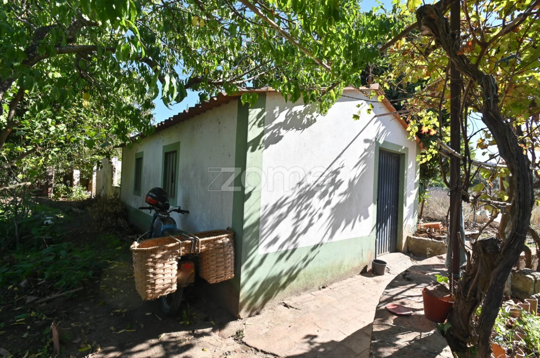 Quinta T5 para Venda em São Miguel do Rio Torto e Rossio Ao Sul do Tejo Foto 33
