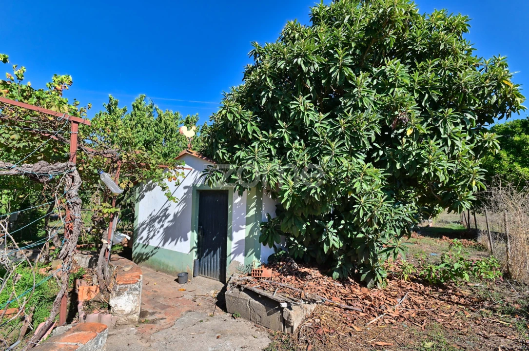 Quinta T5 para Venda em São Miguel do Rio Torto e Rossio Ao Sul do Tejo Foto 34