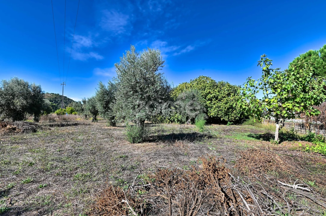 Quinta T5 para Venda em São Miguel do Rio Torto e Rossio Ao Sul do Tejo Foto 36