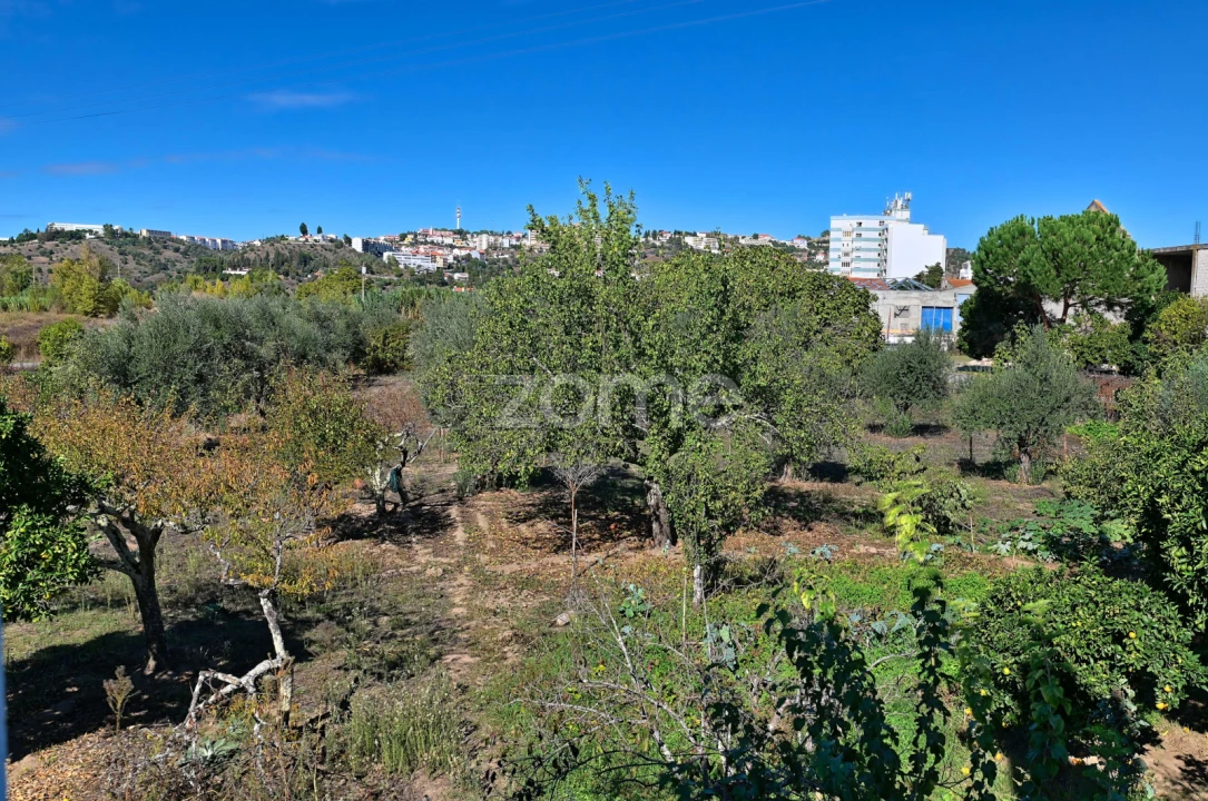 Quinta T5 para Venda em São Miguel do Rio Torto e Rossio Ao Sul do Tejo Foto 38
