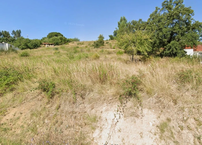 Terreno para Venda em Torres Novas (Santa Maria, Salvador e Santiago) Foto 1