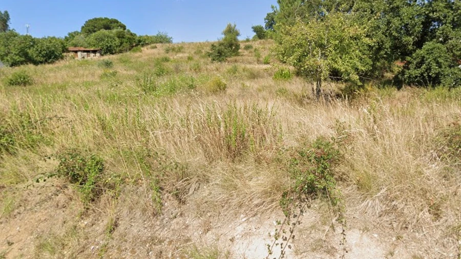 Terreno para Venda em Torres Novas (Santa Maria, Salvador e Santiago)