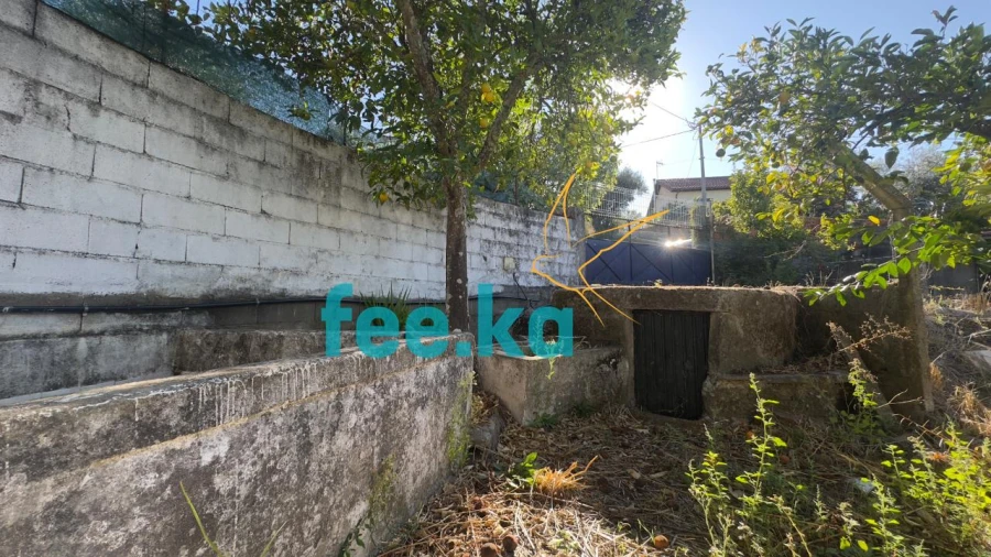 Quinta T1 para Venda em Salgueiro do Campo Foto 2