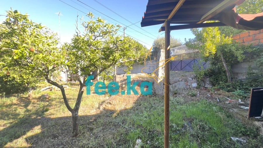 Quinta T1 para Venda em Salgueiro do Campo Foto 5