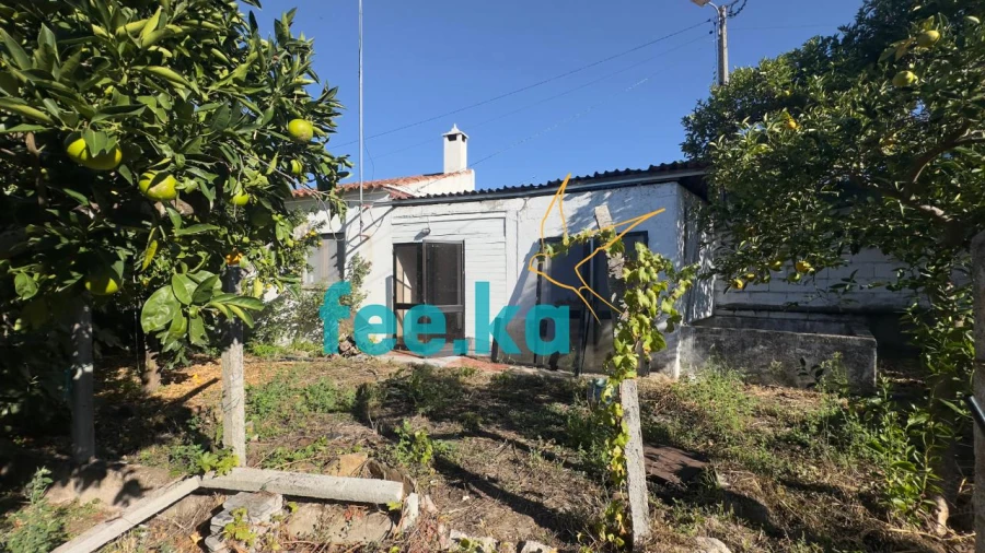 Quinta T1 para Venda em Salgueiro do Campo