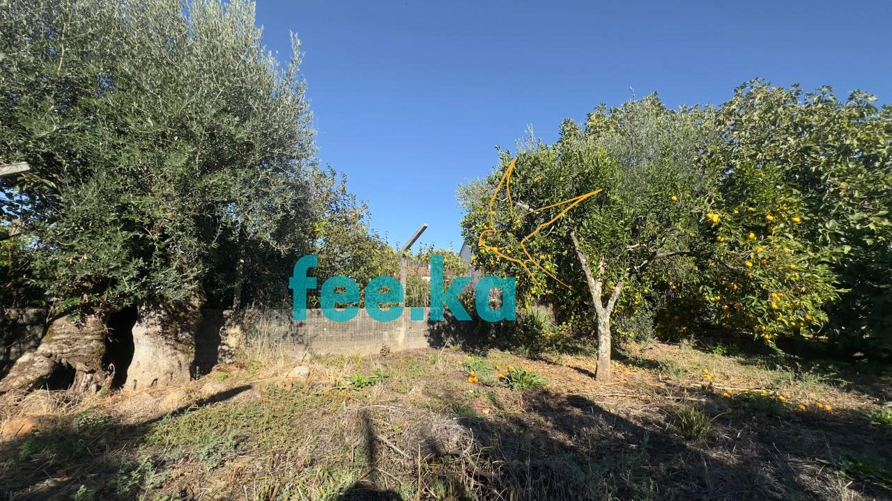 Quinta T1 para Venda em Salgueiro do Campo Foto 7