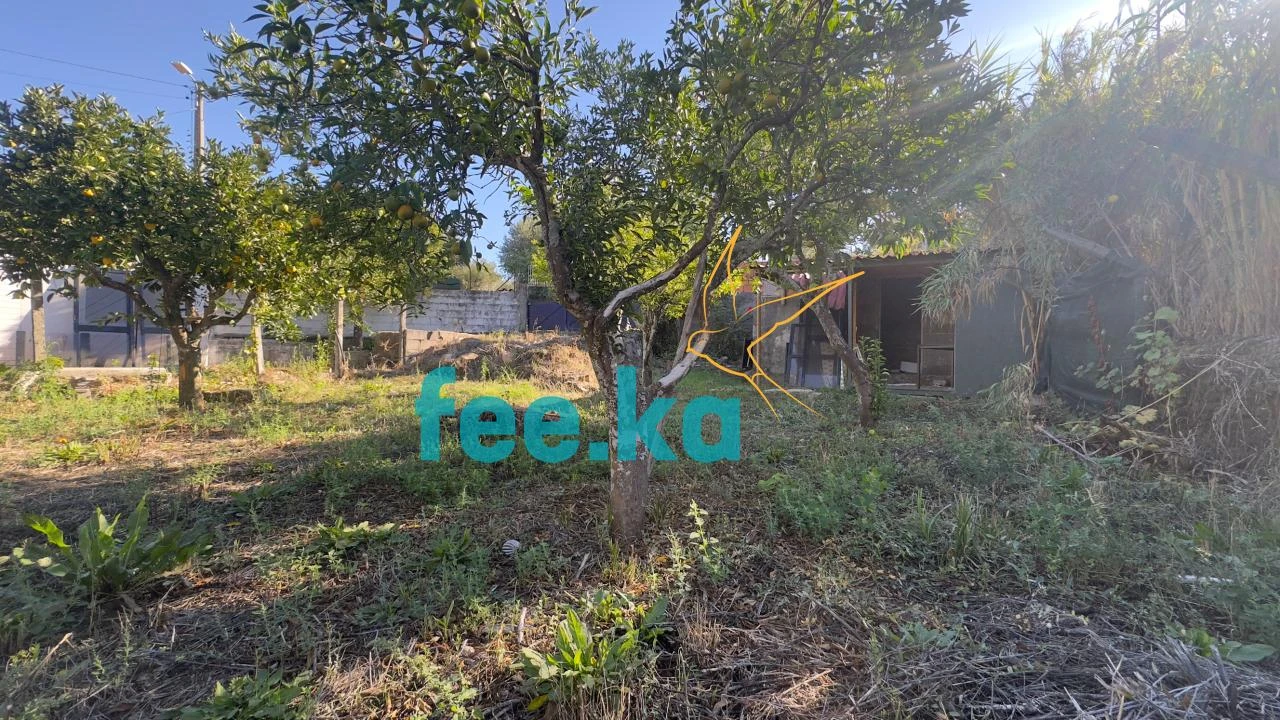 Quinta T1 para Venda em Salgueiro do Campo Foto 8