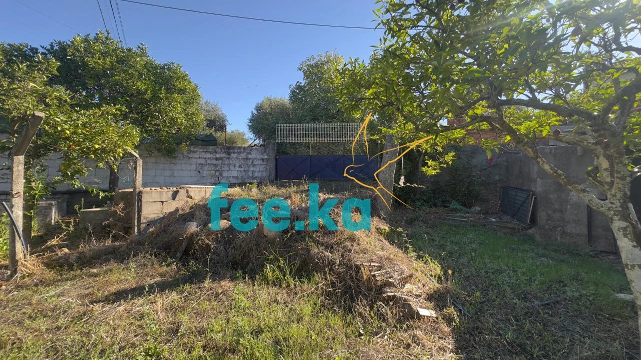 Quinta T1 para Venda em Salgueiro do Campo Foto 13