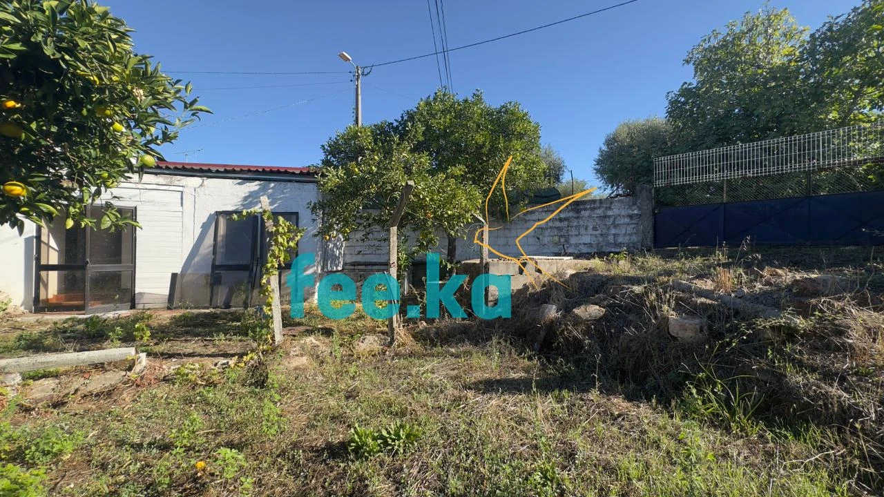 Quinta T1 para Venda em Salgueiro do Campo Foto 14