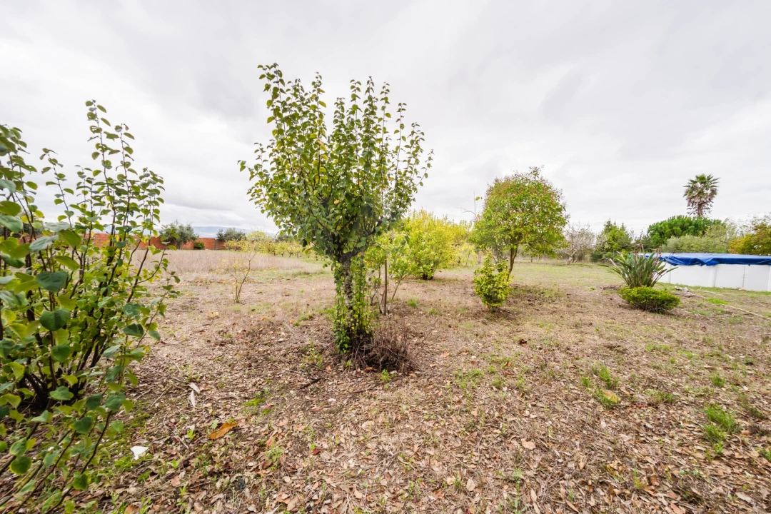 Moradia T3 para Venda em Carvalhal Foto 11