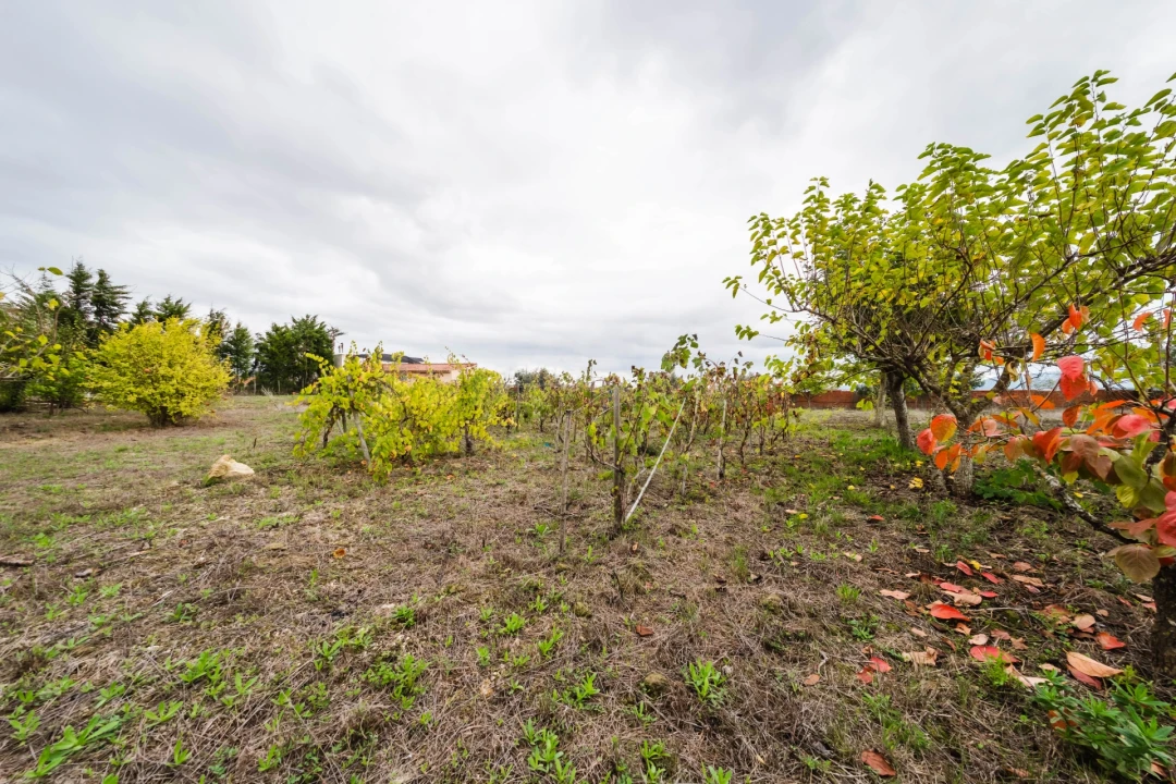 Moradia T3 para Venda em Carvalhal Foto 12