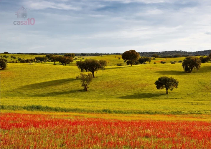 Terreno para Venda em Malagueira e Horta das Figueiras Foto 18