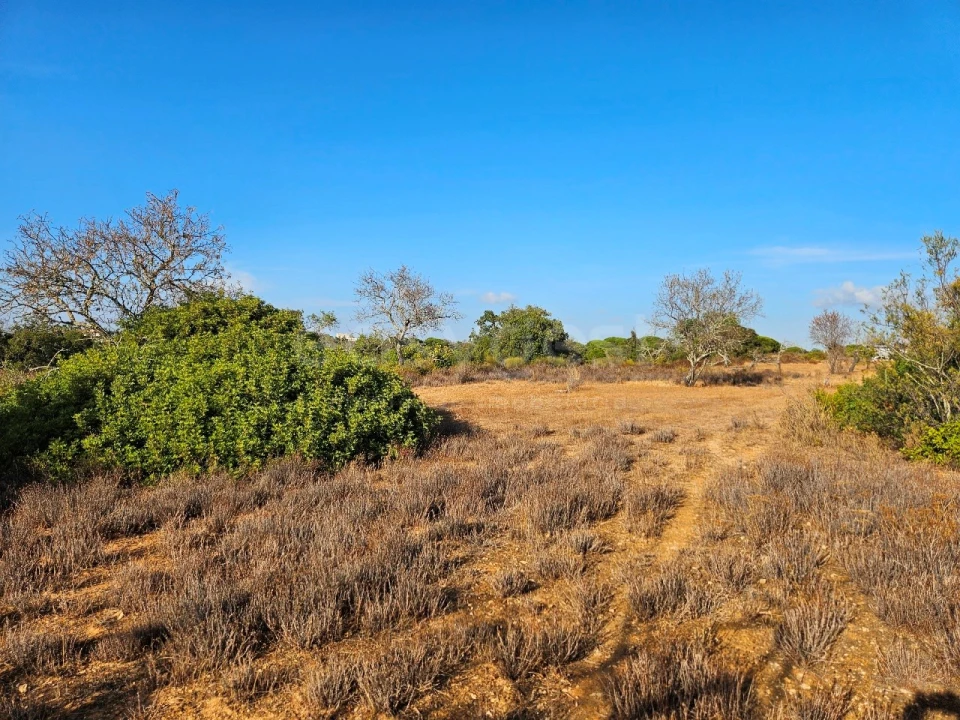 Terreno Agricola ou Rústico para Venda em Alcantarilha e Pêra Foto 1