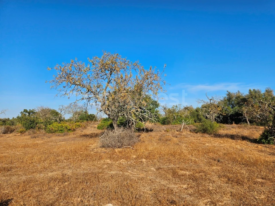 Terreno Agricola ou Rústico para Venda em Alcantarilha e Pêra Foto 4
