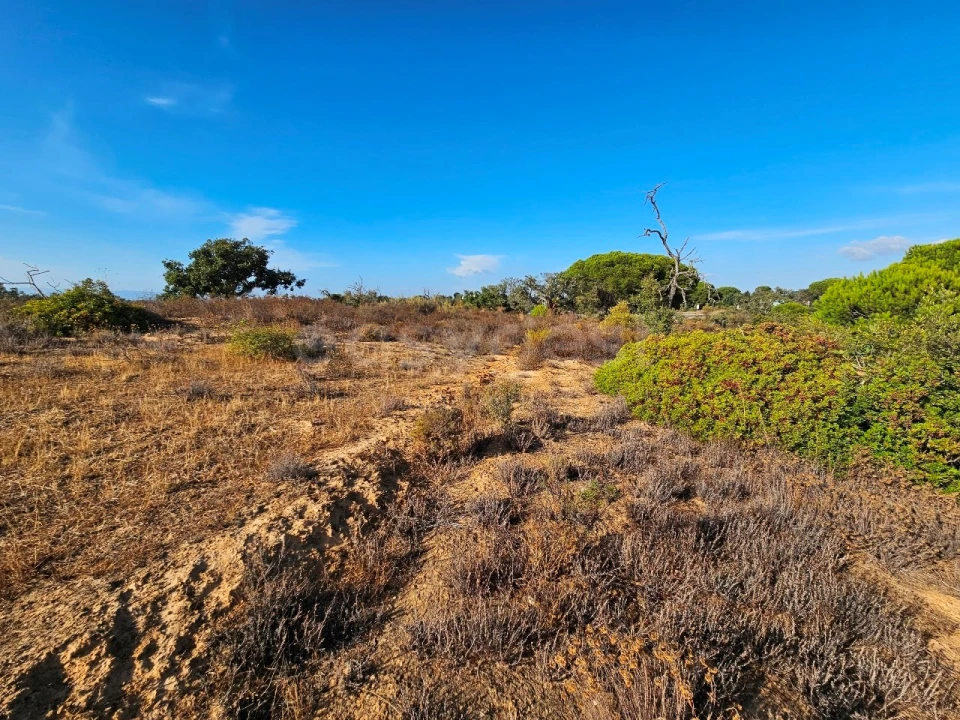 Terreno Agricola ou Rústico para Venda em Alcantarilha e Pêra Foto 5