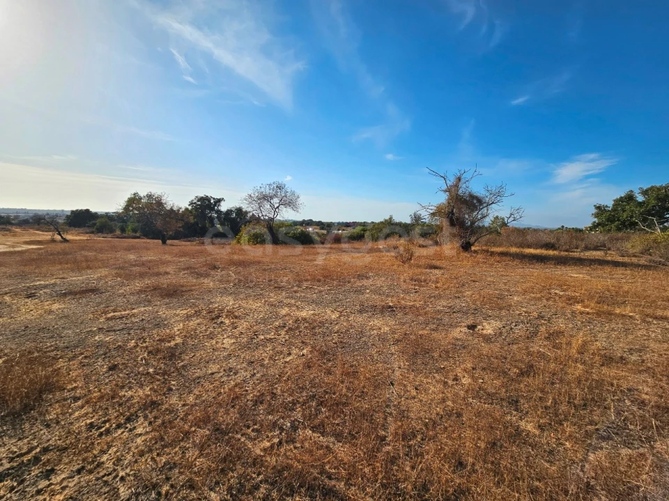Terreno Agricola ou Rústico para Venda em Alcantarilha e Pêra Foto 6