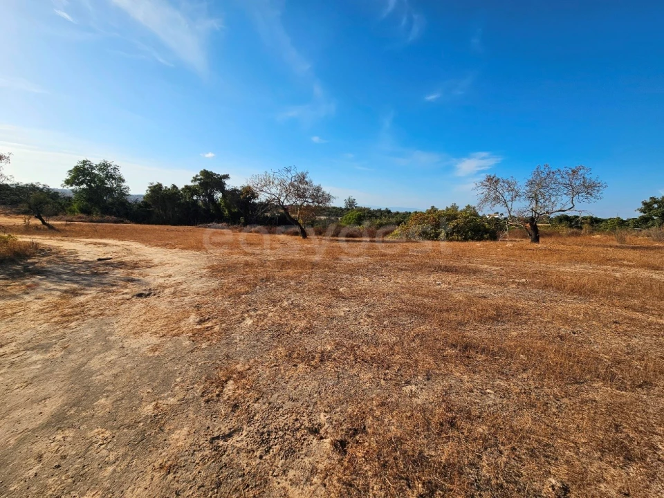 Terreno Agricola ou Rústico para Venda em Alcantarilha e Pêra Foto 7