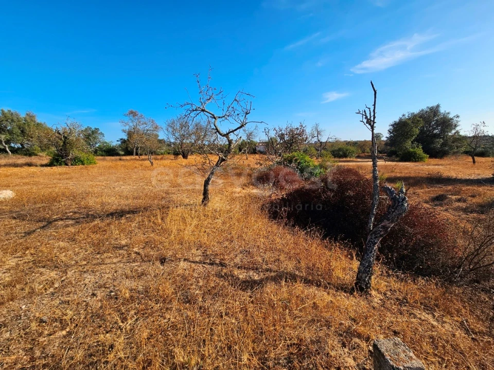 Terreno Agricola ou Rústico para Venda em Alcantarilha e Pêra Foto 8