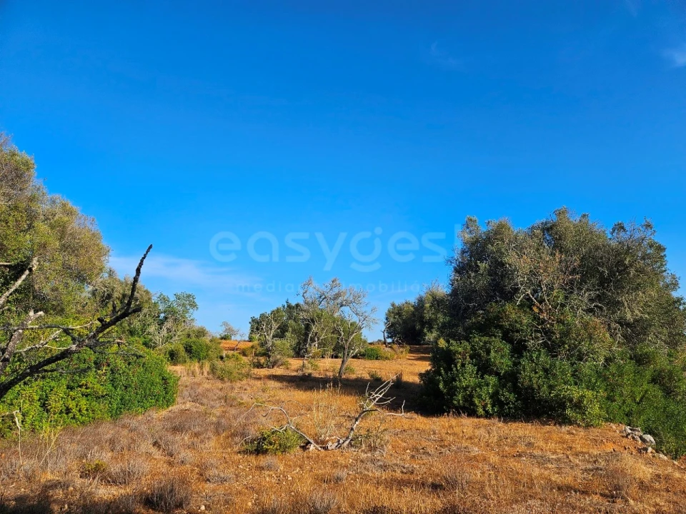 Terreno Agricola ou Rústico para Venda em Alcantarilha e Pêra Foto 10