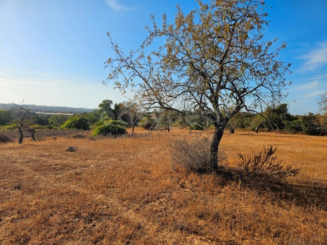 Terreno Agricola ou Rústico para Venda em Alcantarilha e Pêra Foto 2