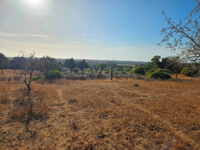 Terreno Agricola ou Rústico para Venda em Alcantarilha e Pêra Foto 3