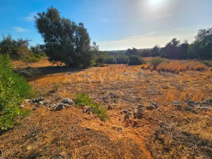 Terreno Agricola ou Rústico para Venda em Alcantarilha e Pêra Foto 9