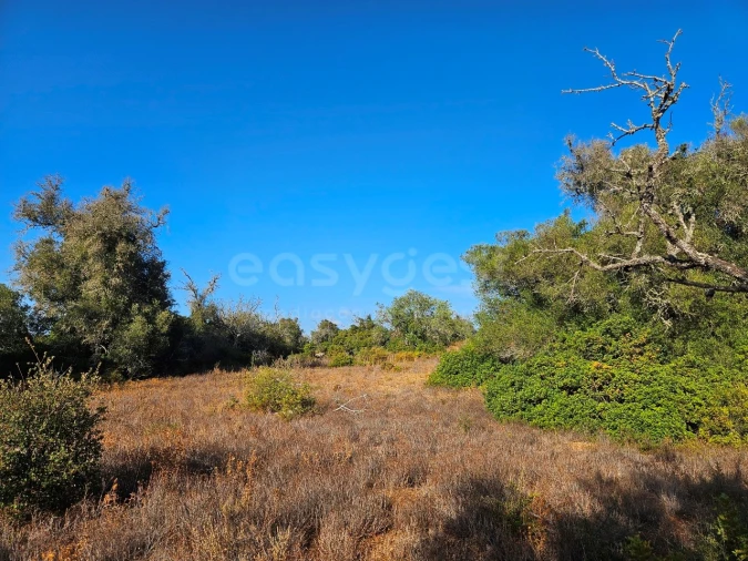 Terreno Agricola ou Rústico para Venda em Alcantarilha e Pêra Foto 11