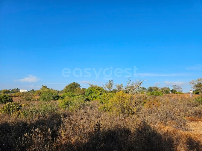 Terreno Agricola ou Rústico para Venda em Alcantarilha e Pêra Foto 12