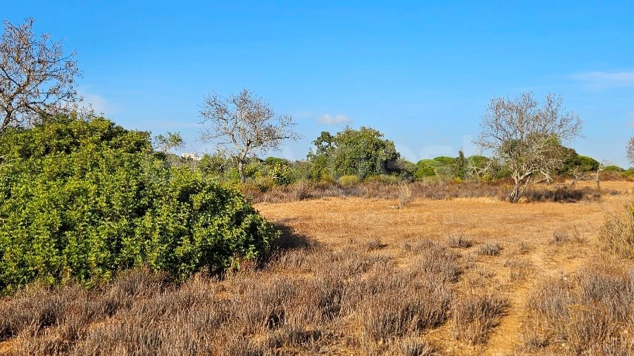 Terreno Agricola ou Rústico para Venda em Alcantarilha e Pêra