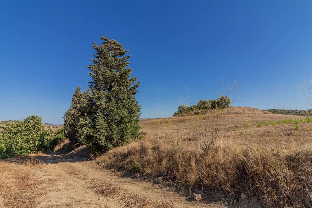 Terreno para Venda em Arruda dos Vinhos Foto 6