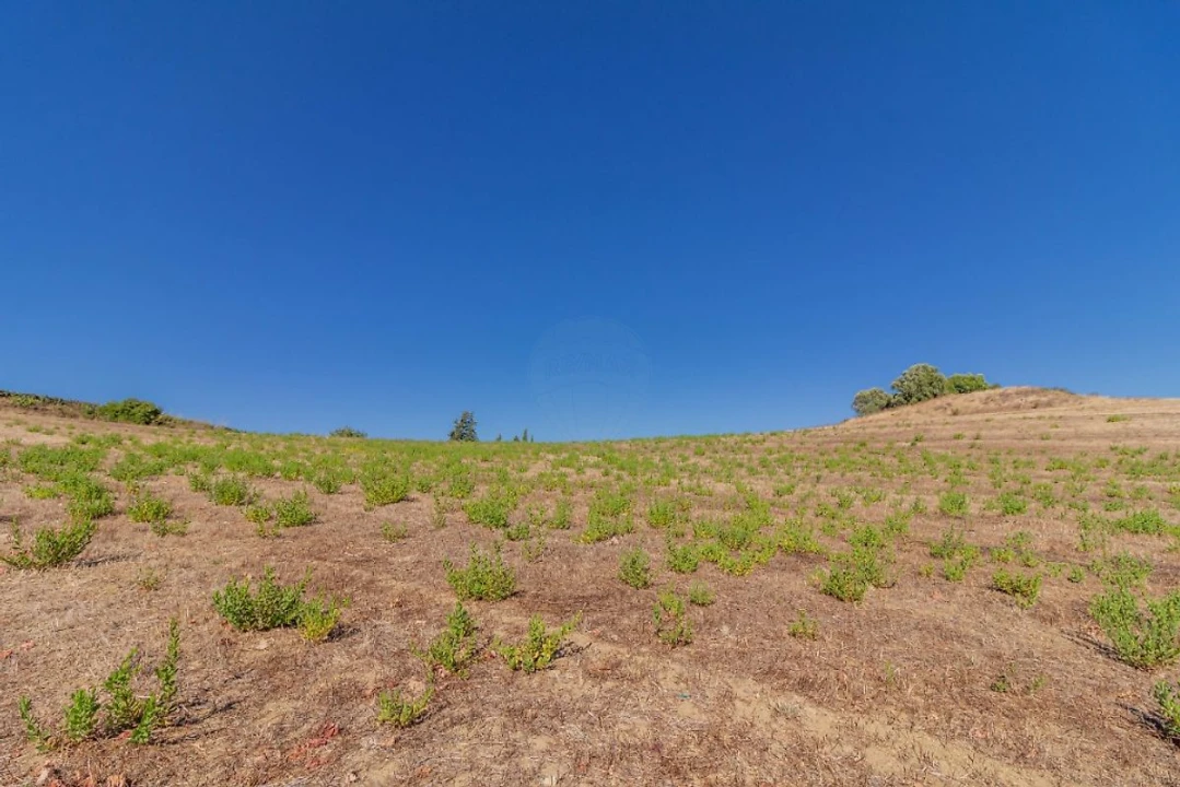 Terreno para Venda em Arruda dos Vinhos Foto 4