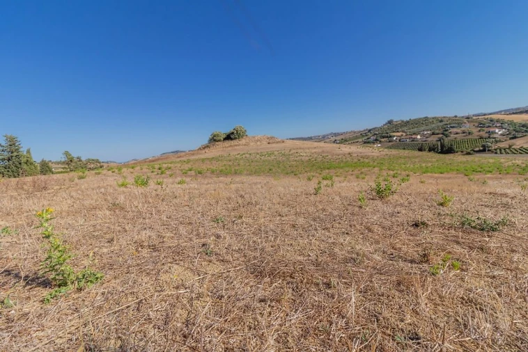 Terreno para Venda em Arruda dos Vinhos Foto 5