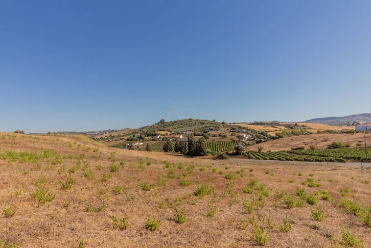 Terreno para Venda em Arruda dos Vinhos Foto 3