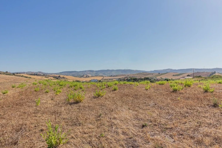 Terreno para Venda em Arruda dos Vinhos Foto 7