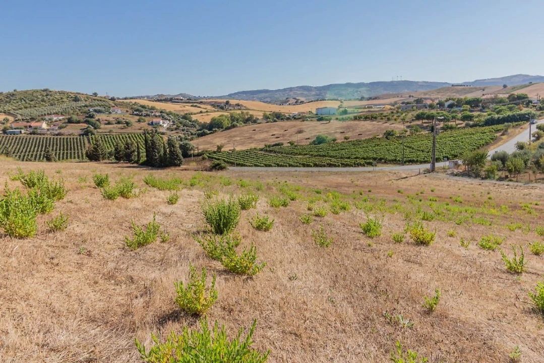 Terreno para Venda em Arruda dos Vinhos Foto 8