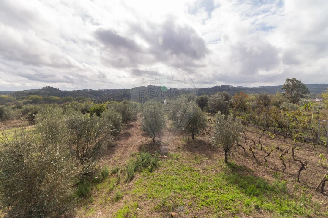 Moradia T4 para Venda em Seiça Foto 31