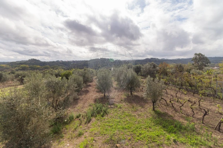 Moradia T4 para Venda em Seiça Foto 31