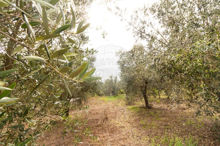 Moradia T4 para Venda em Seiça Foto 40