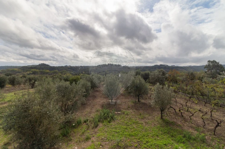 Moradia T4 para Venda em Seiça Foto 32