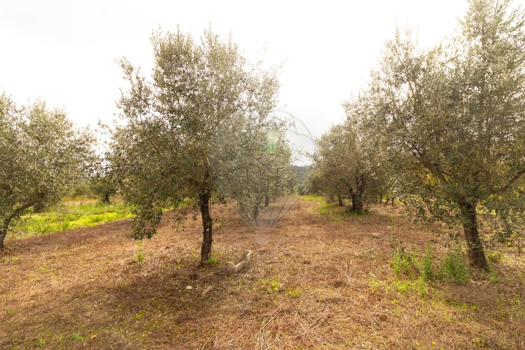 Moradia T4 para Venda em Seiça Foto 39