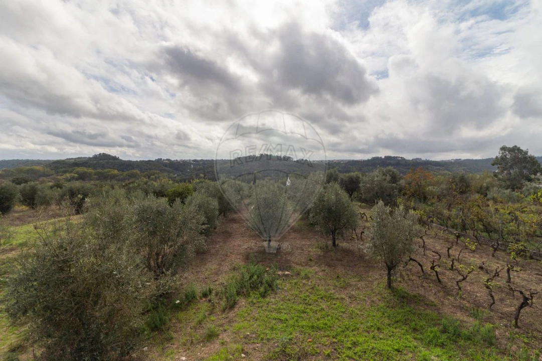 Moradia T4 para Venda em Seiça Foto 32