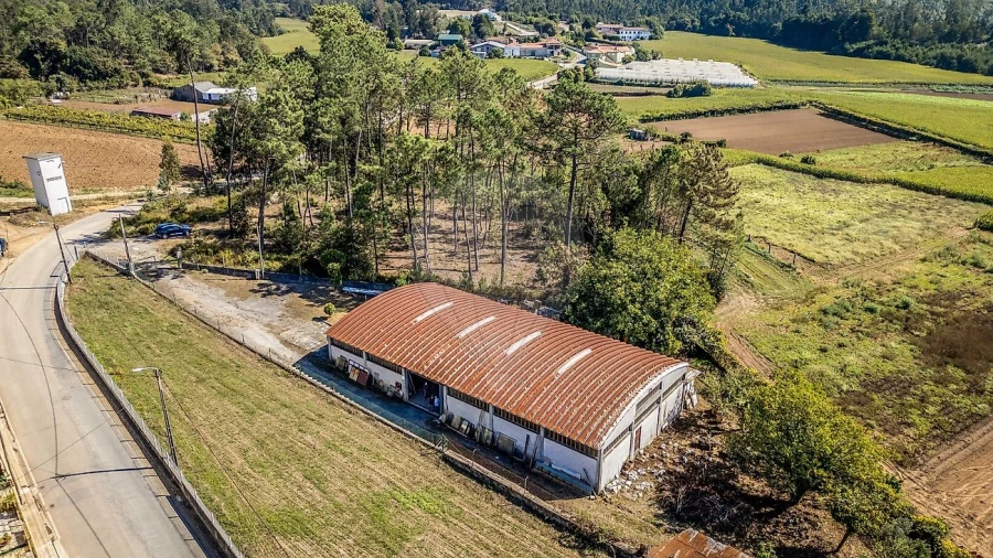 Armazém para Venda em Covelas Foto 3