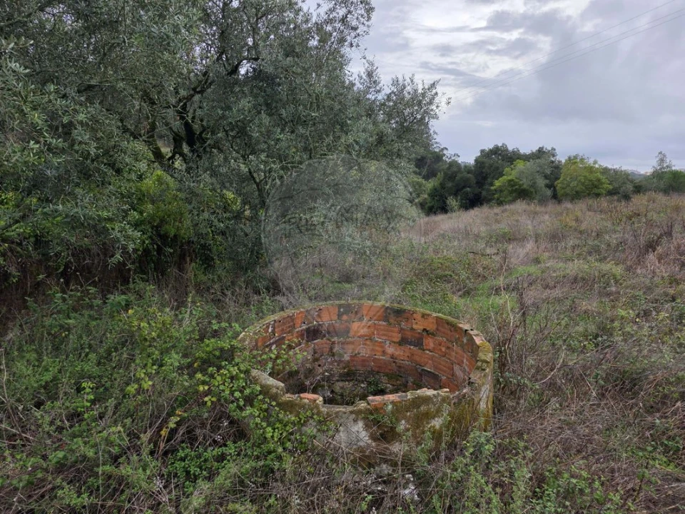 Moradia T5 para Venda em Almargem do Bispo, Pêro Pinheiro e Montelavar Foto 4