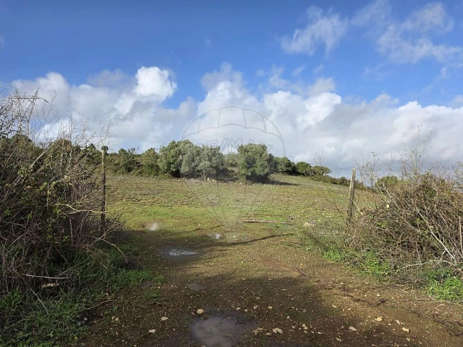 Terreno para Venda em Almargem do Bispo, Pêro Pinheiro e Montelavar Foto 8
