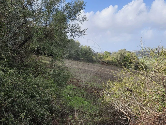 Terreno para Venda em Almargem do Bispo, Pêro Pinheiro e Montelavar Foto 9