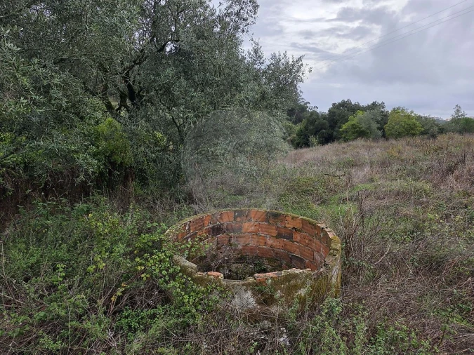Terreno para Venda em Almargem do Bispo, Pêro Pinheiro e Montelavar Foto 9