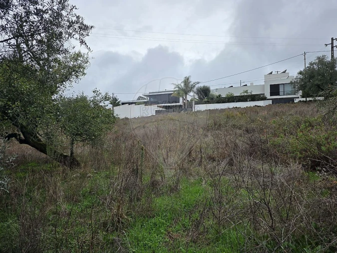 Terreno para Venda em Almargem do Bispo, Pêro Pinheiro e Montelavar Foto 4