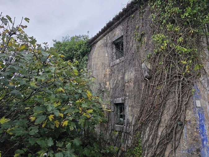 Terreno para Venda em Almargem do Bispo, Pêro Pinheiro e Montelavar Foto 13